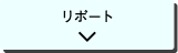 レポートボタン